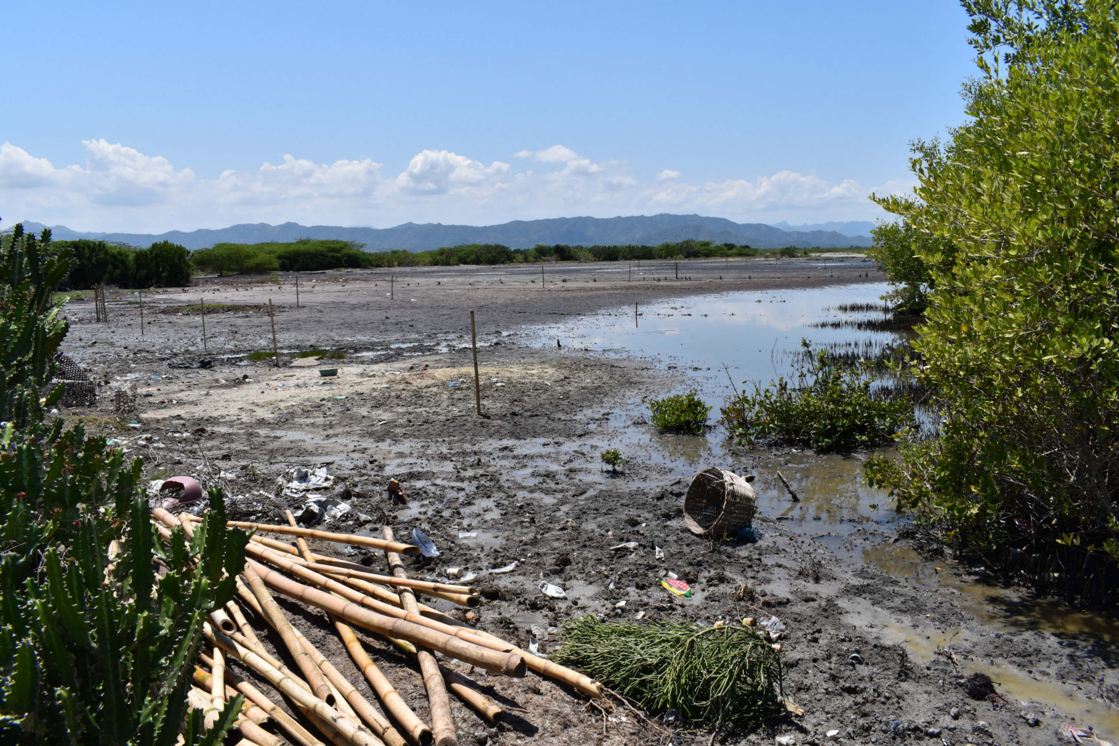 We are preparing to expand one of our mangrove reforestation sites.  This involves surveying the target area, working with the local community to determine where mangroves may have once grown and their reason for no longer existing at the site (usually just deforestation), and providing educational activities on what we will be doing with the community.  We've started to reforest in areas adjacent to our previous work.