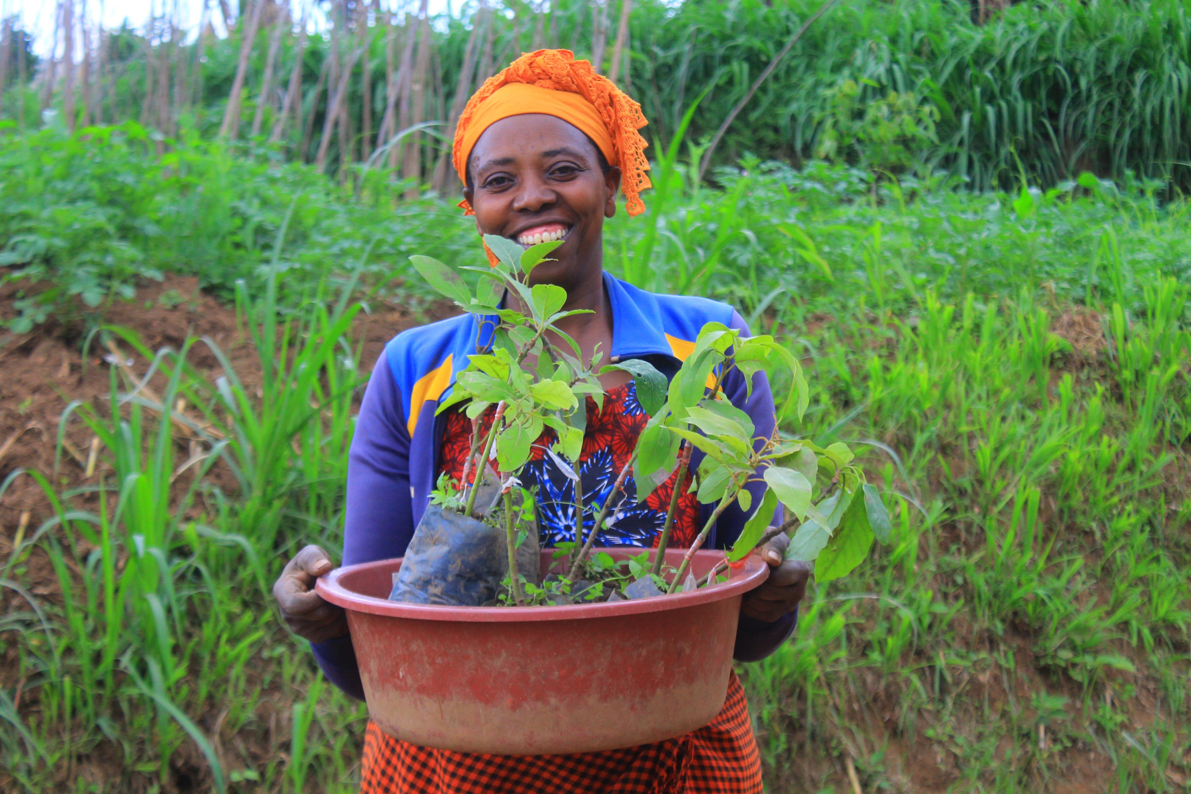 Smiles all round!
 
At RWCA, we believe in conservation that benefits both nature and people. Recently, we distributed 4,000 avocado trees to local communities around Rugezi Marsh, which is a critical habitat for incredible wildlife, including the endangered Grey Crowned Cranes. 
 
These trees will enrich the soil and provide families with a sustainable source of nutrition, as well as a potential source of income. Every tree planted contributes to a healthier environment and a stronger community.
