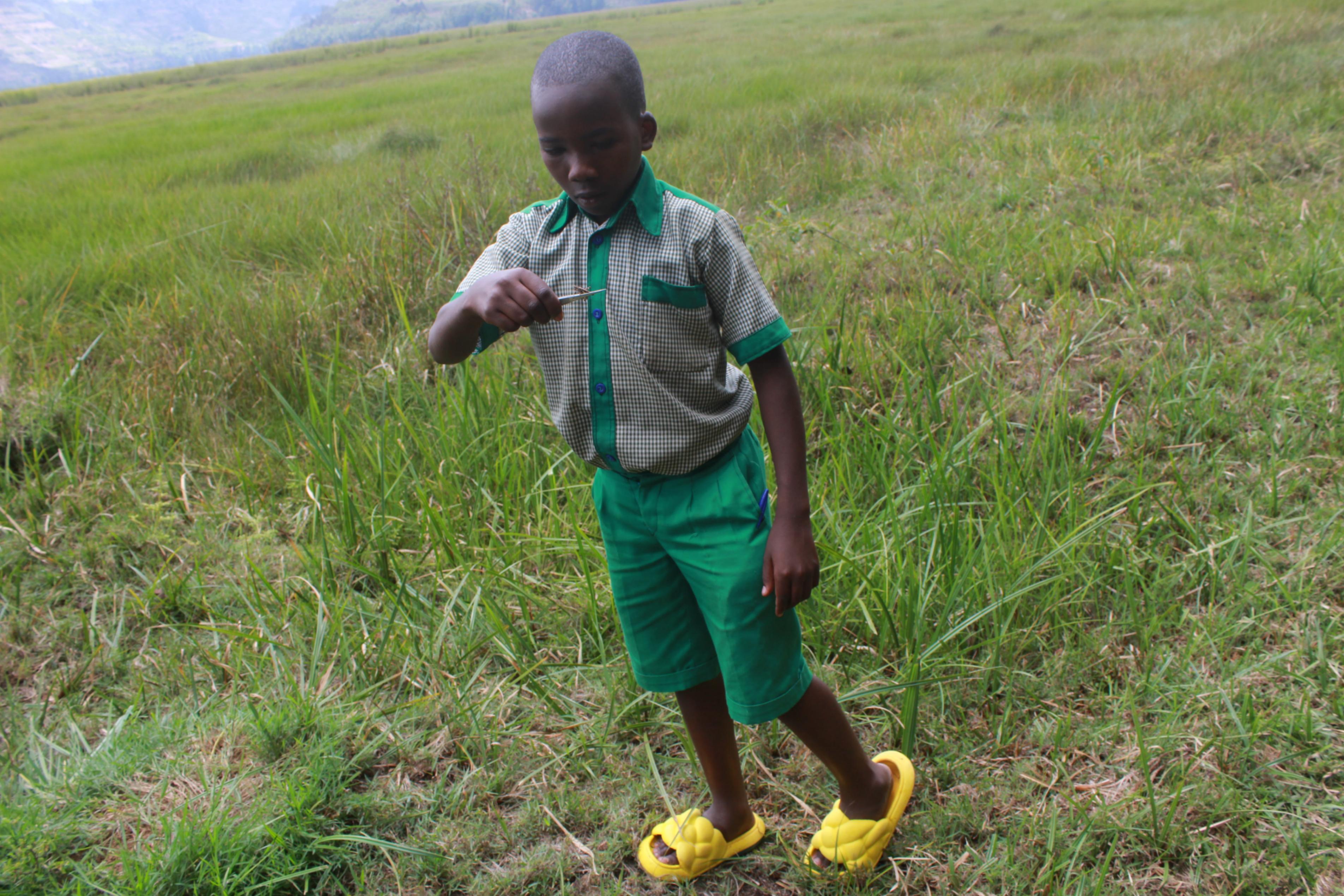 We recently wrapped up a BioBlitz activity with our Environmental Youth Clubs around Rugezi Marsh! Over 570 kids from 8 clubs dove into nature, identifying and counting plants, insects, aquatic life, mammals, and birds in their local environment.

From discovering how each species plays a role in our environment to exploring conservation's impact on the marsh, these young nature champions discovered how their actions can directly impact the environment they love.

Thanks to RWCA staff for guiding curious minds and the kids for bringing their energy and passion to the planet! 