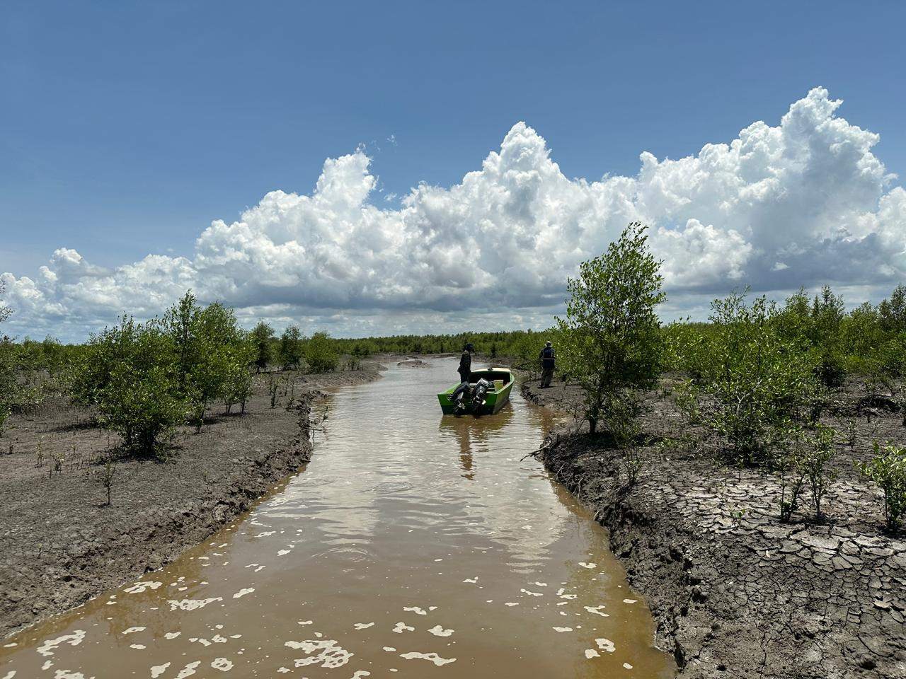 🌿 Cryptic Species Research🌿

In the wetlands of Bigi Pan, our team is tracking cryptic species that remain hidden in plain sight. 🦎 These hard-to-spot creatures are crucial to the ecosystem, and our research aims to reveal their presence and importance.

Join us as we explore this mysterious landscape, shedding light on the wildlife that often goes unseen.

#CrypticSpecies #BigiPan #WildlifeResearch #HiddenNature #BiodiversityConservation