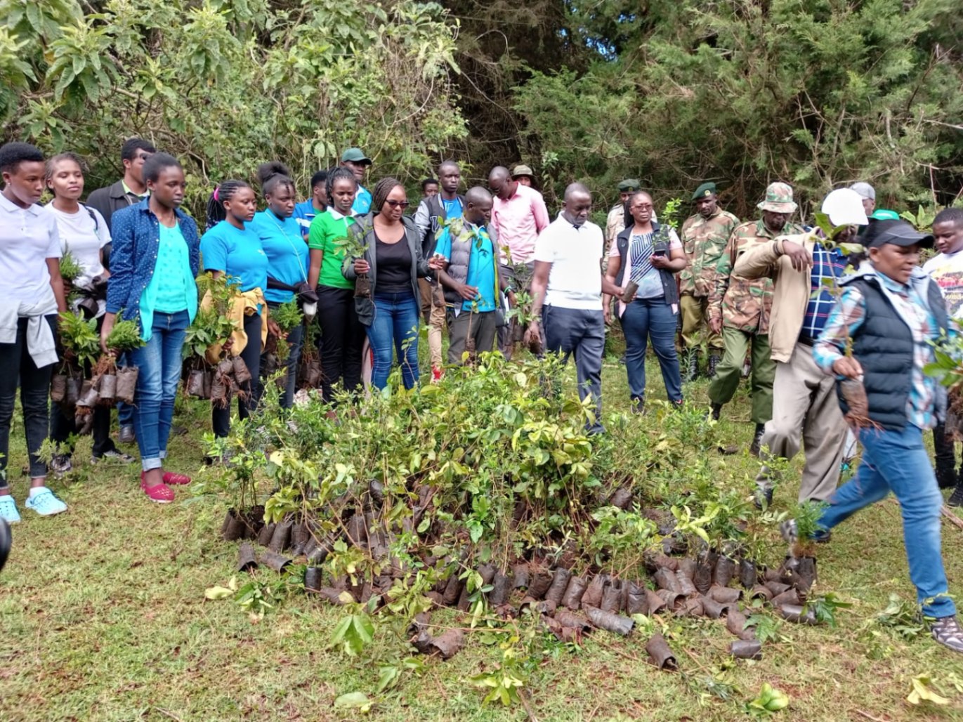 The Institute for Culture and Ecology, in collaboration with the Kenya Forest Service, university students, and Community Forest Association members, organized a tree-planting event to rehabilitate critical ecosystems. The initiative focused on planting indigenous tree species in catchment areas, a crucial step in reviving biodiversity. Additionally, this effort supports the restoration of water catchment areas, enhances water conservation, and strengthens the ecosystem's resilience.