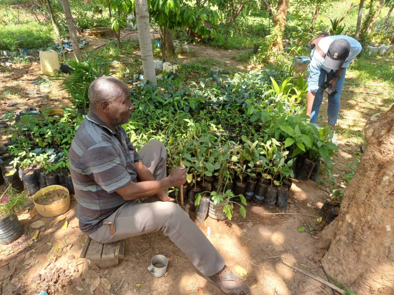 The Institute for Culture and Ecology's commitment to environmental restoration shines through in this tree-planting exercise, combating climate change, improving biodiversity, and empowering local communities .