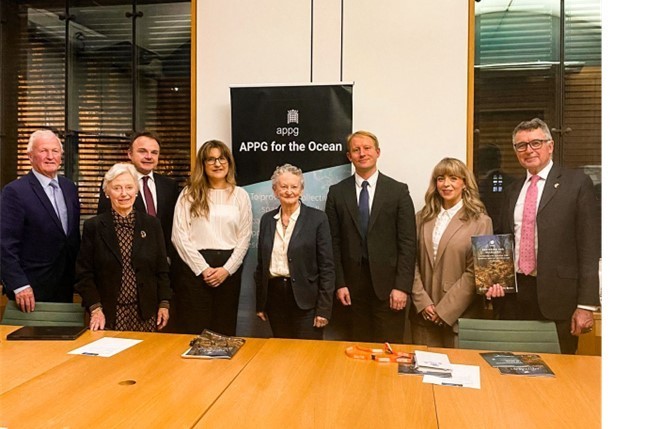 Our Senior Policy Officer, Aisling, attended the All Party Parliamentary Group for the Ocean to discuss Blue Carbon policy. The group were keen to understand barriers to protection of blue carbon ecosystems. Aisling highlighted a recent report Blue produced calling for whole site protection and a reform of the marine licensing process to accelerate restoration of seagrass, salt marsh and oyster reefs. 