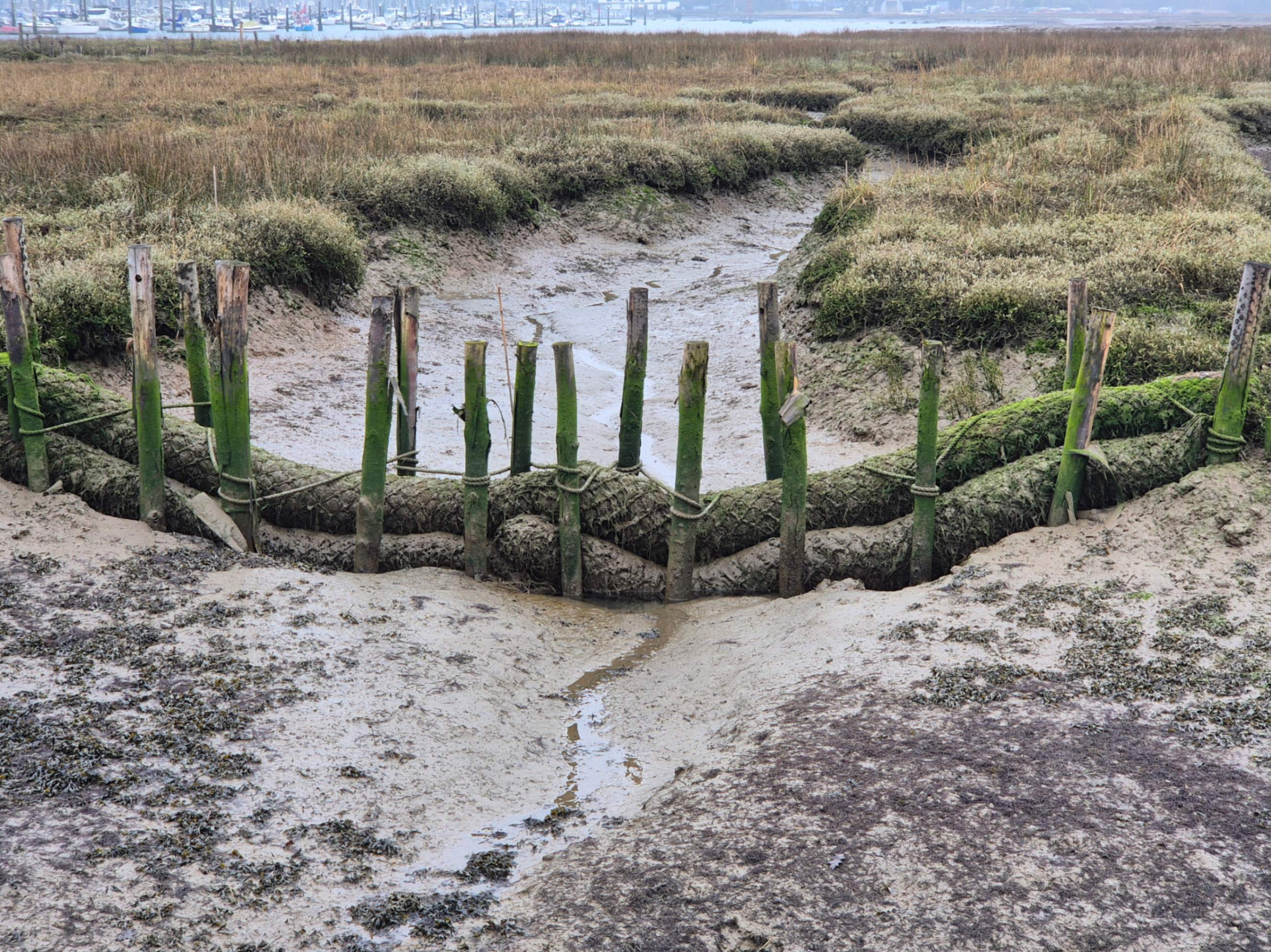 Saltmarsh update!!

Despite a few winter storms, the saltmarsh barriers we installed last summer at Hackett's Marsh are still going strong and we're definitely seeing sediment building up. 

To improve things slightly, we'll modify a couple to help with flow direction out of the creeks.