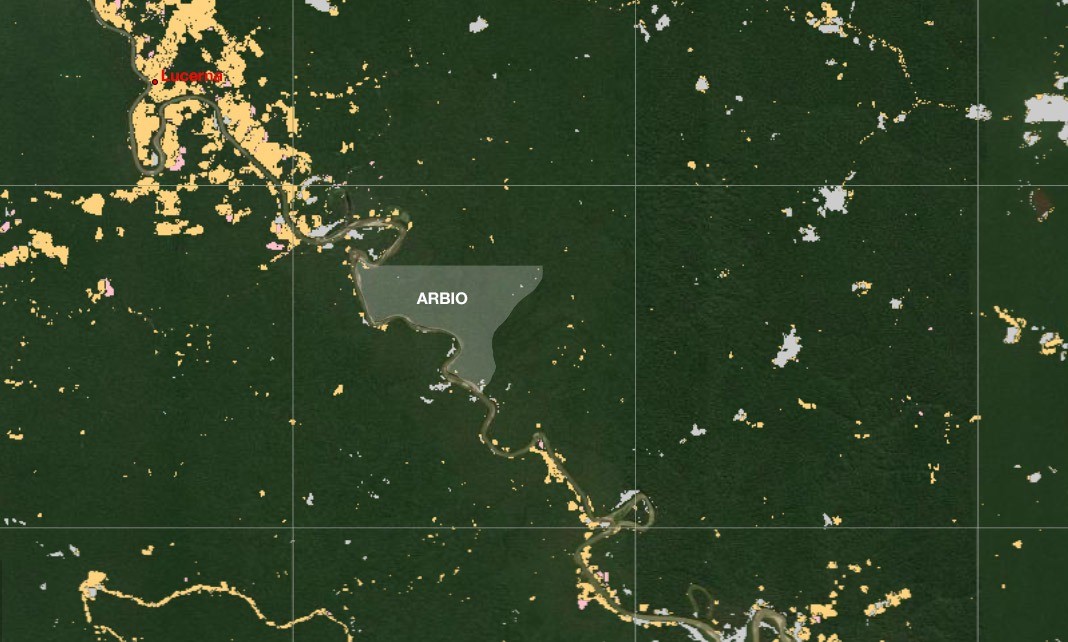 In this satellite image you can see the recent deforestation for the installation of cocoa and corn next to the Las Piedras River. Our forest represents a barrier to invasions and loss of biodiversity. We have been studying and protecting this ecosystem for 14 years and continue!
GEOBOSQUES official platform Ministry of the Environment