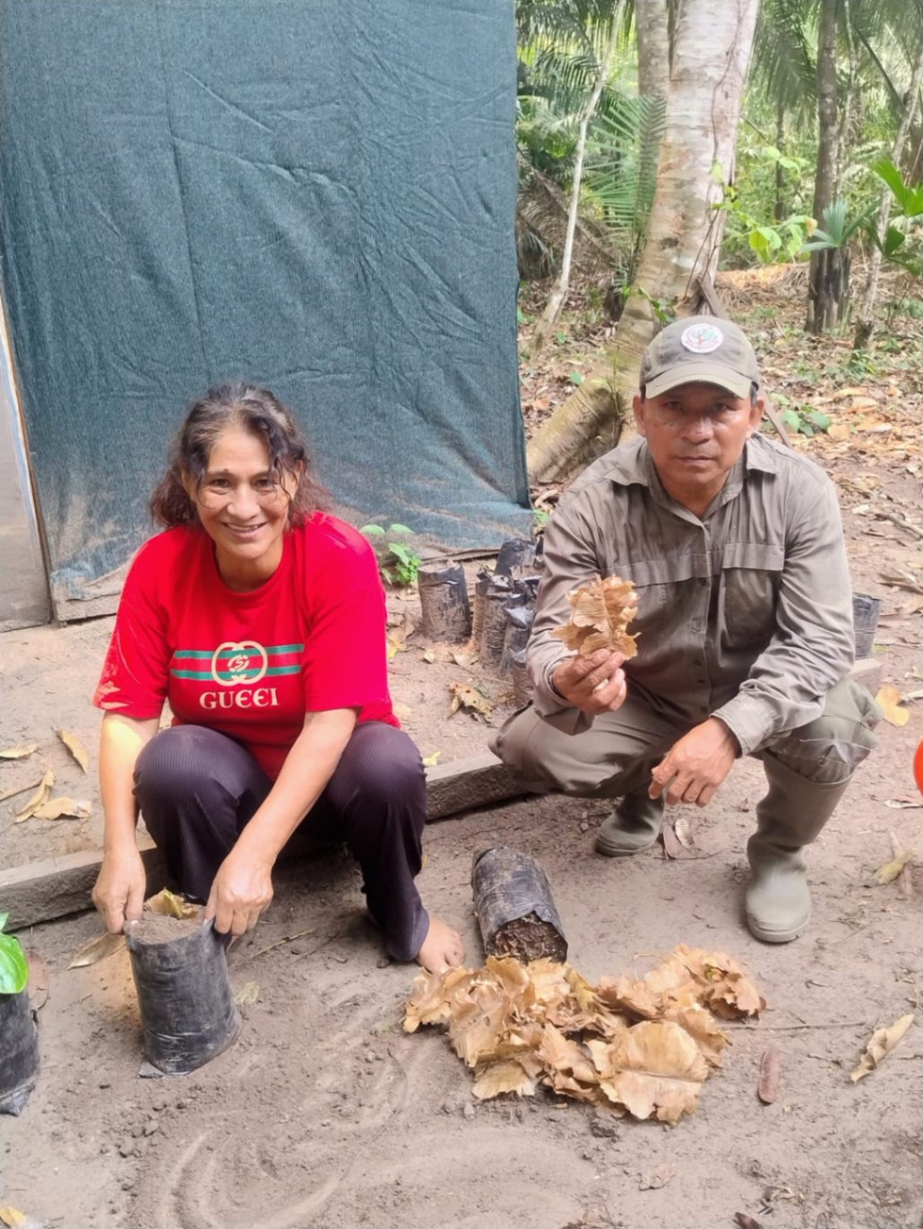 Part of our work is to identify seed trees and collect seeds or natural regeneration (seedlings). We take them to the ARBIO station to propagate endangered species. 