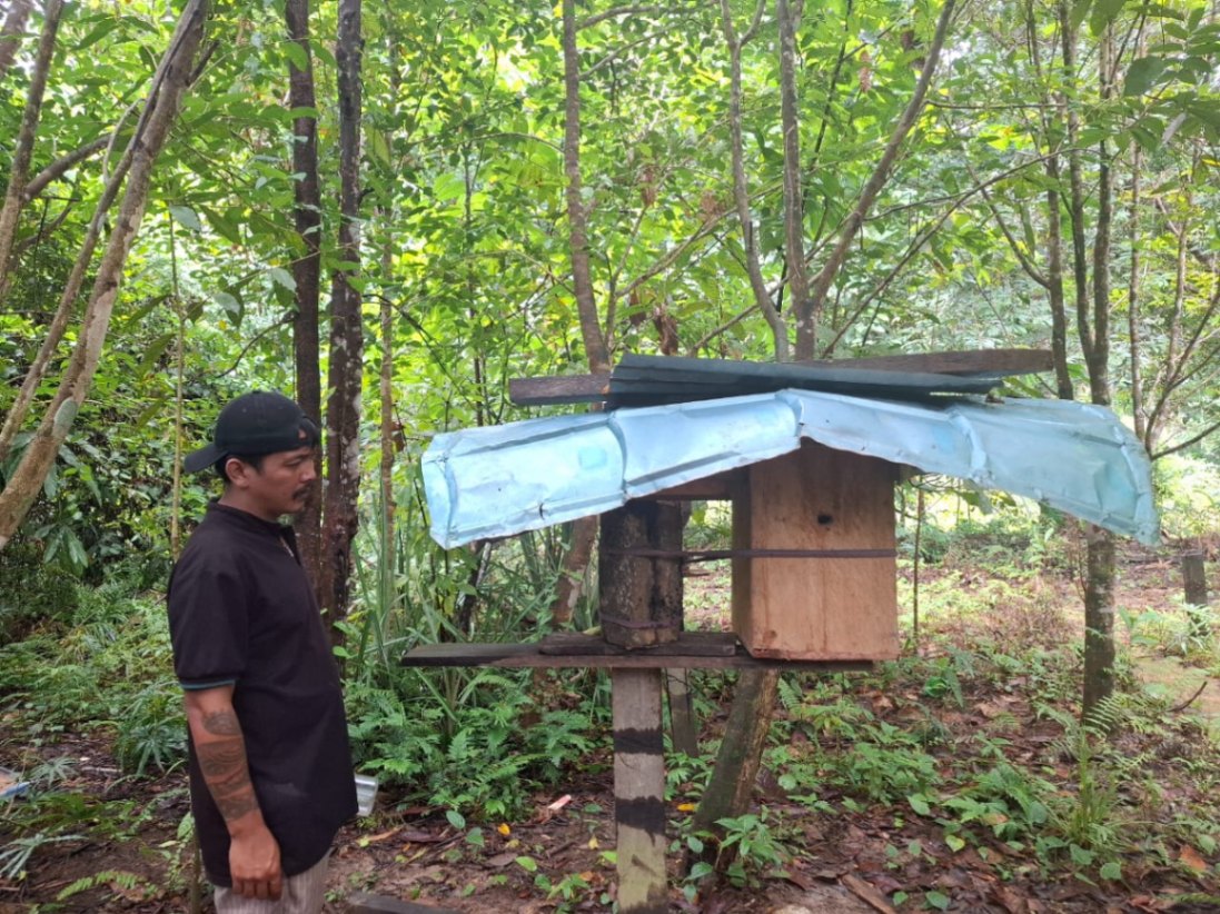 After the training, Warsi collaborated with the Department of Industry and Trade of Malinau Regency to support the efforts in trigona bee farming by providing assistance through the Productive Economic Assistance Program (BAEP) from the Department of Industry and Trade (Disperindag) of Malinau Regency, supplying 20 hives of kelulut honey bees to each of the villages Long Nyau and Long Jalan. These hives are placed around the village. The dense forests surrounding the village become a source of food for the honey bees.