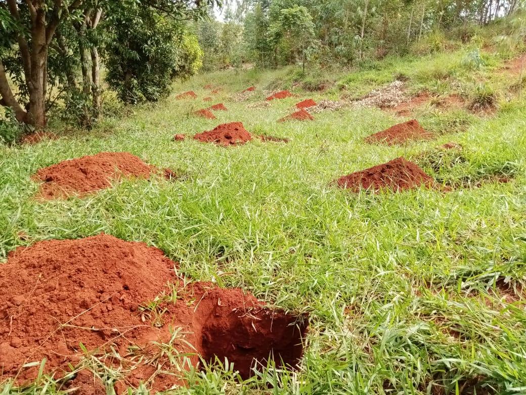 Photos from the Mastercard Priceless Planet Coalition site in Madagascar.
