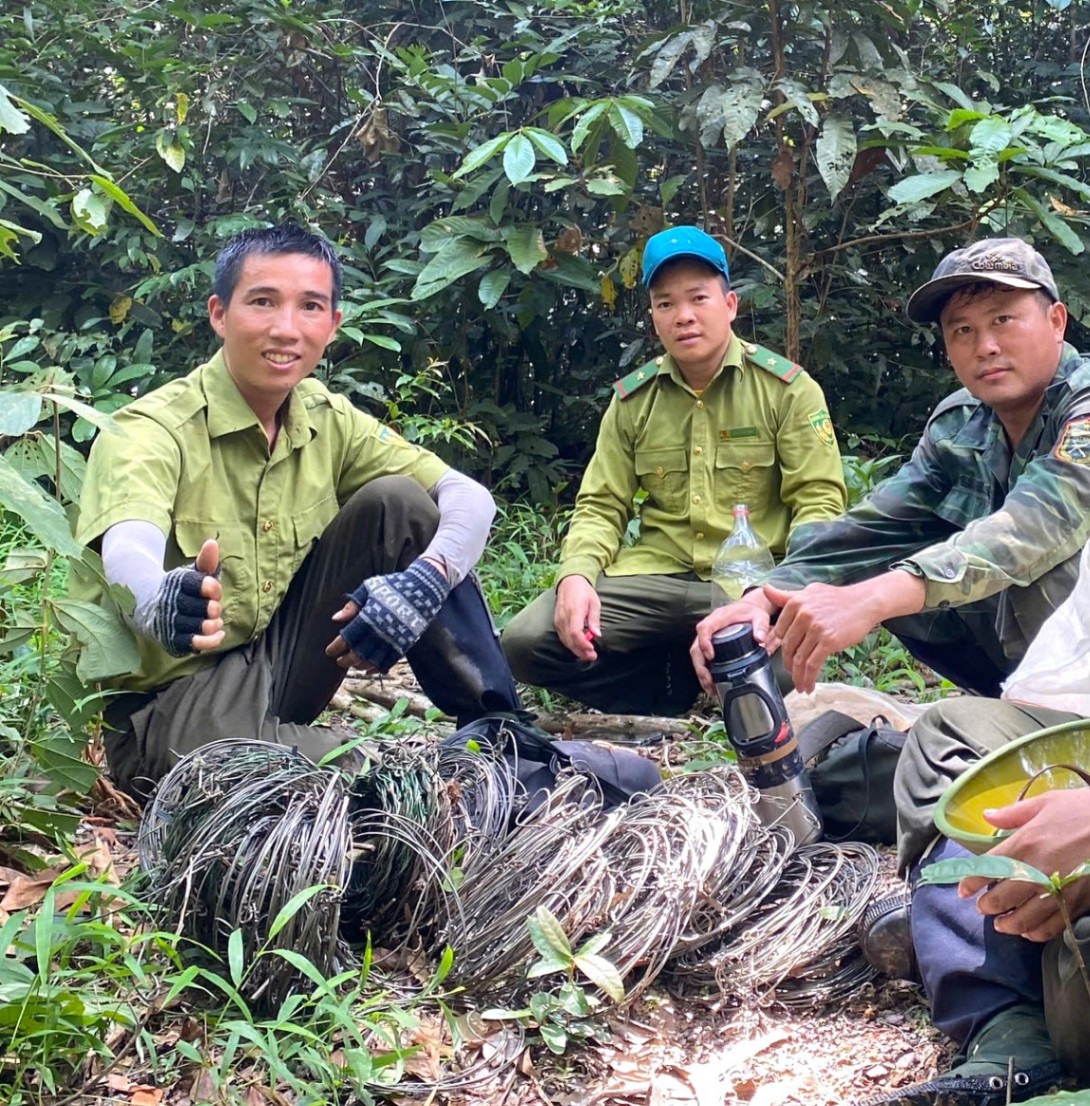 Our partners in Vietnam continue to patrol some of the most rugged forests in the country to find and remove snares – which are the main threat to wildlife in the Annamites. Here, a team shows the results of three days patrolling in Pu Mat National Park. By removing snares, the team is helping to protect rare species that live in these forests. 