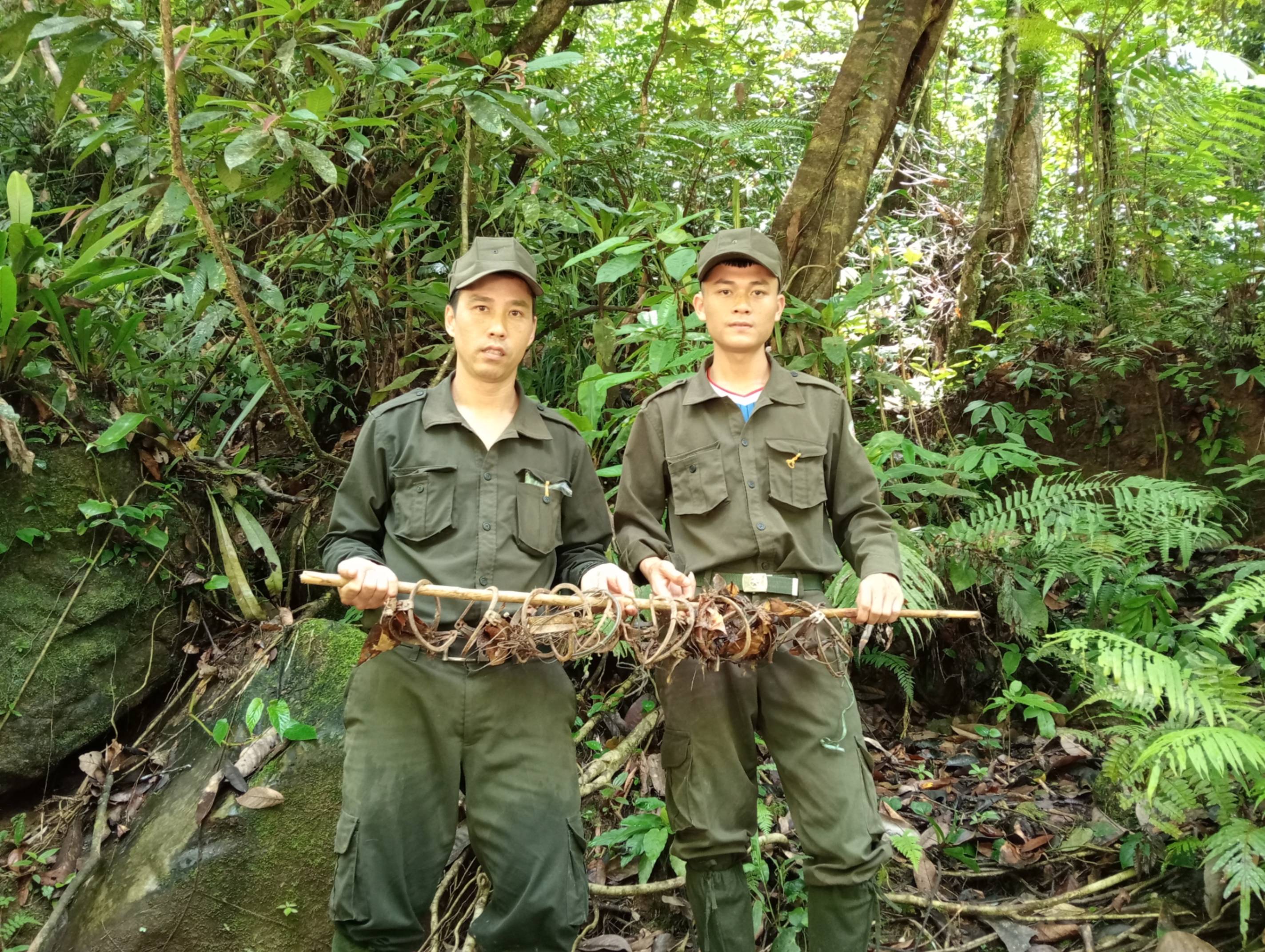 Snares are the biggest threat to most endemic mammal and pheasant species in the Annamites. Re:wild is supporting local partners to patrol some of the most biodiverse protected areas in the Annamites to remove snares, and therefore create safe areas for population recovery. Here, a team in central Vietnam shows snares collected after a day of patrolling. The forest where these snares were collected is a global stronghold for two rare and threatened Annamite species: the Annamite striped rabbit and Annamite crested argus. 