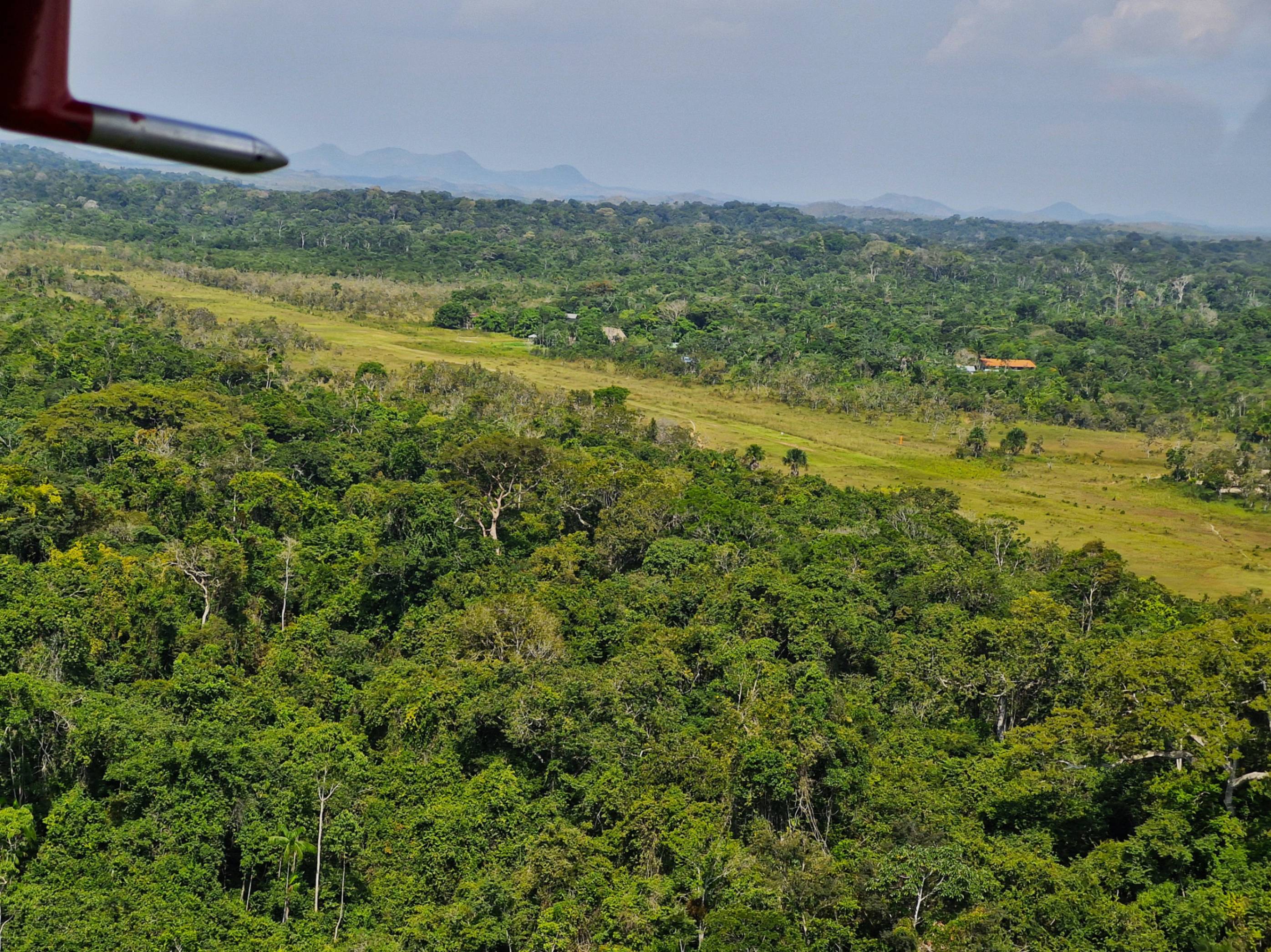 After flying for two hours in a small airplane over mostly pristine forest the team arrived in the Trio village Sipaliwini, near the Sipaliwini Nature Reserve in South Suriname. The team consisted of members from Wildlife & People Suriname (WPS), Amazon Conservation Team Guianas (ACT) and Brian O'Shea (bird expert). The team was welcomed by the villagers and there was a meeting with the chiefs in the meeting house to formally introduce WPS as a new organization and explain that we want to work with them on wildlife trade, strengthening of local rangers, alternative income sources and support of the life plan they developed with ACT.