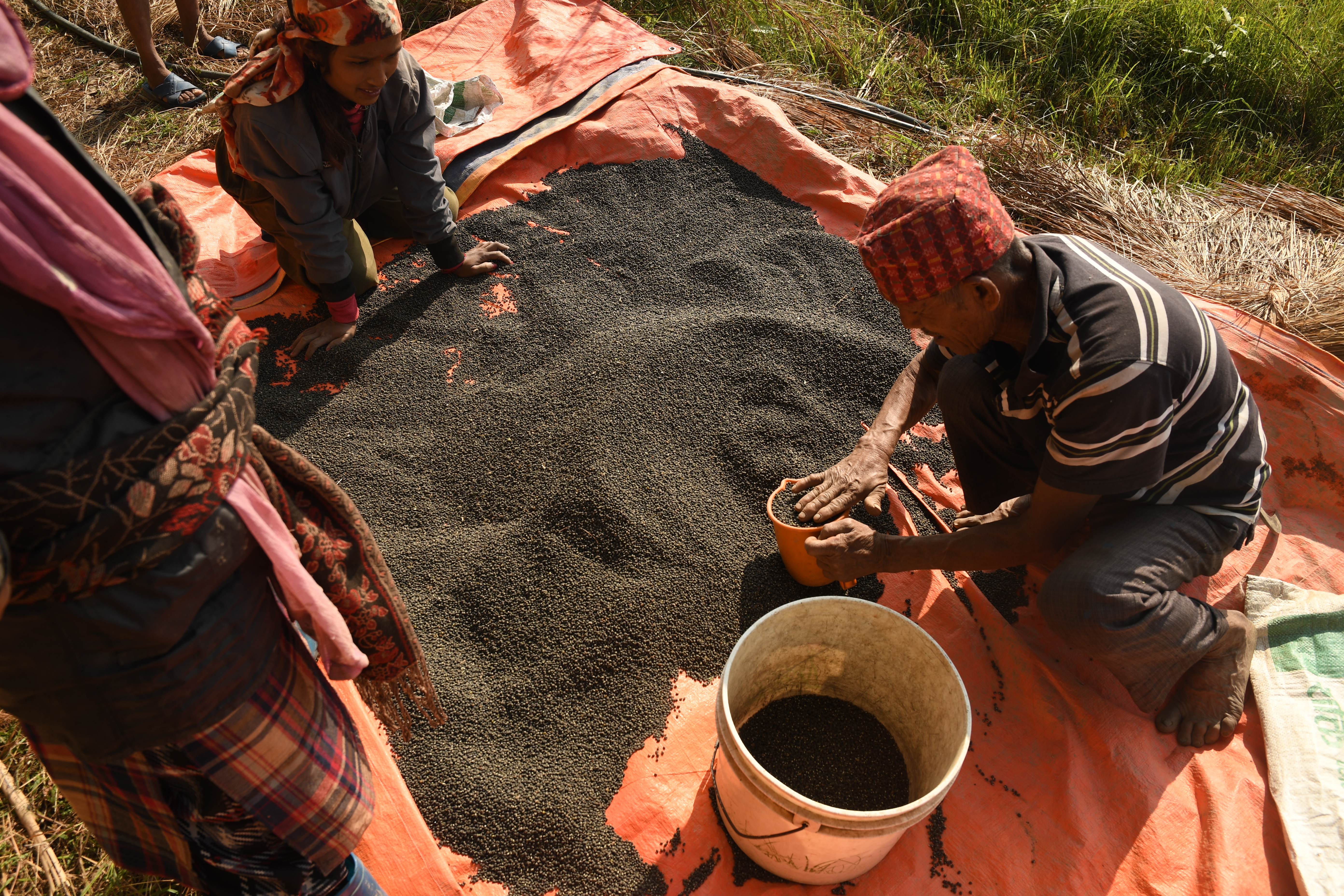 Image by Carbon Farming Study, Atmosfair, & Ithaka Institute © Milkywire