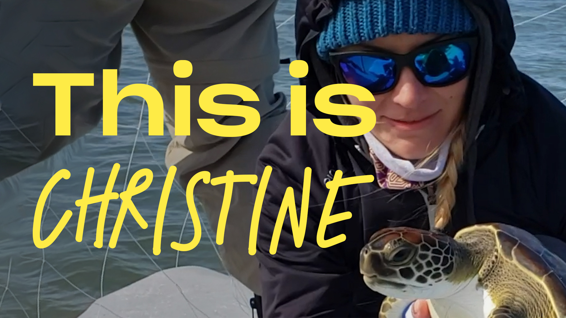 66: Sea Turtles and Straws with Christine Figgener - Stephanie